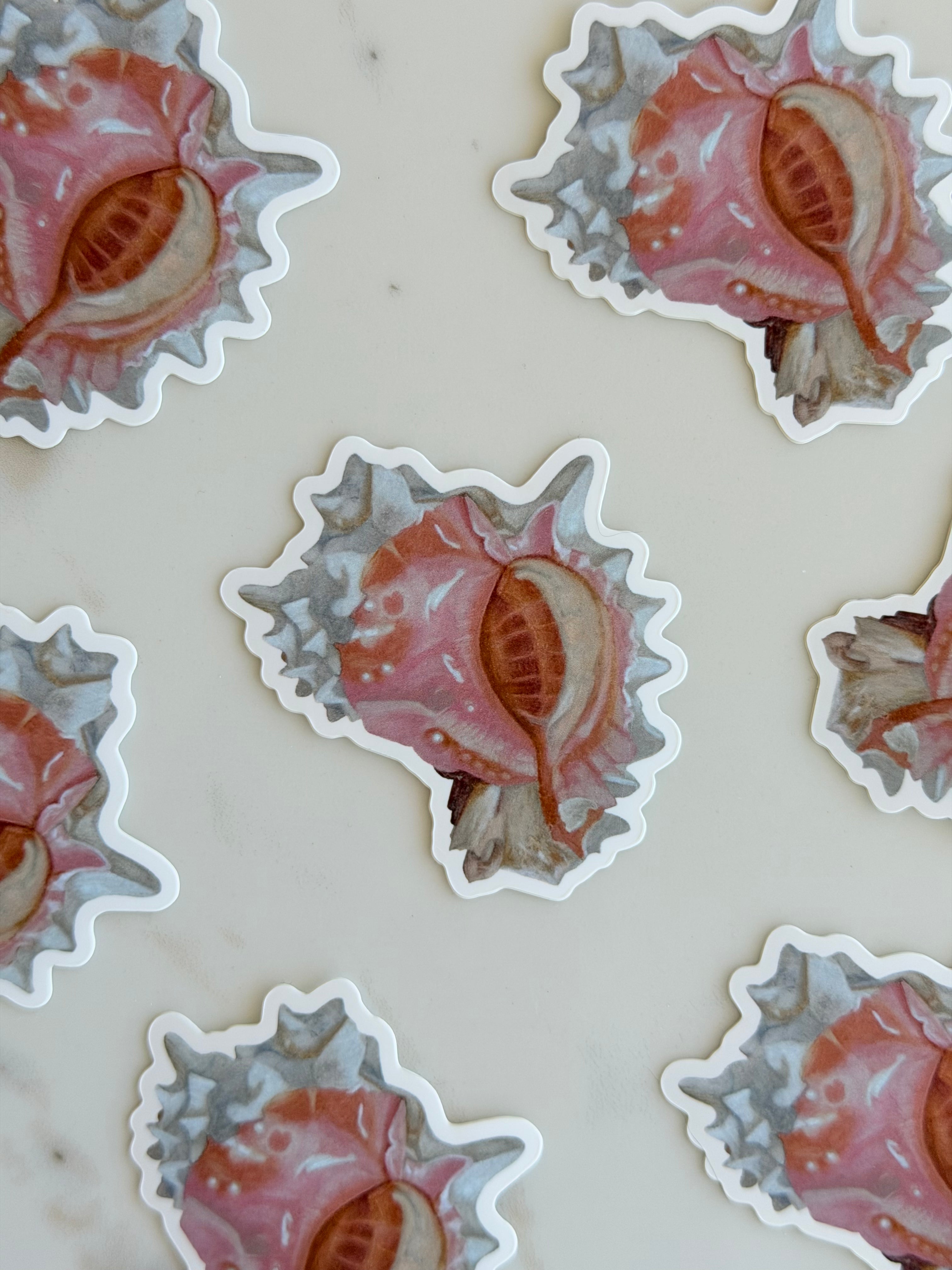 Seashell Vinyl Sticker