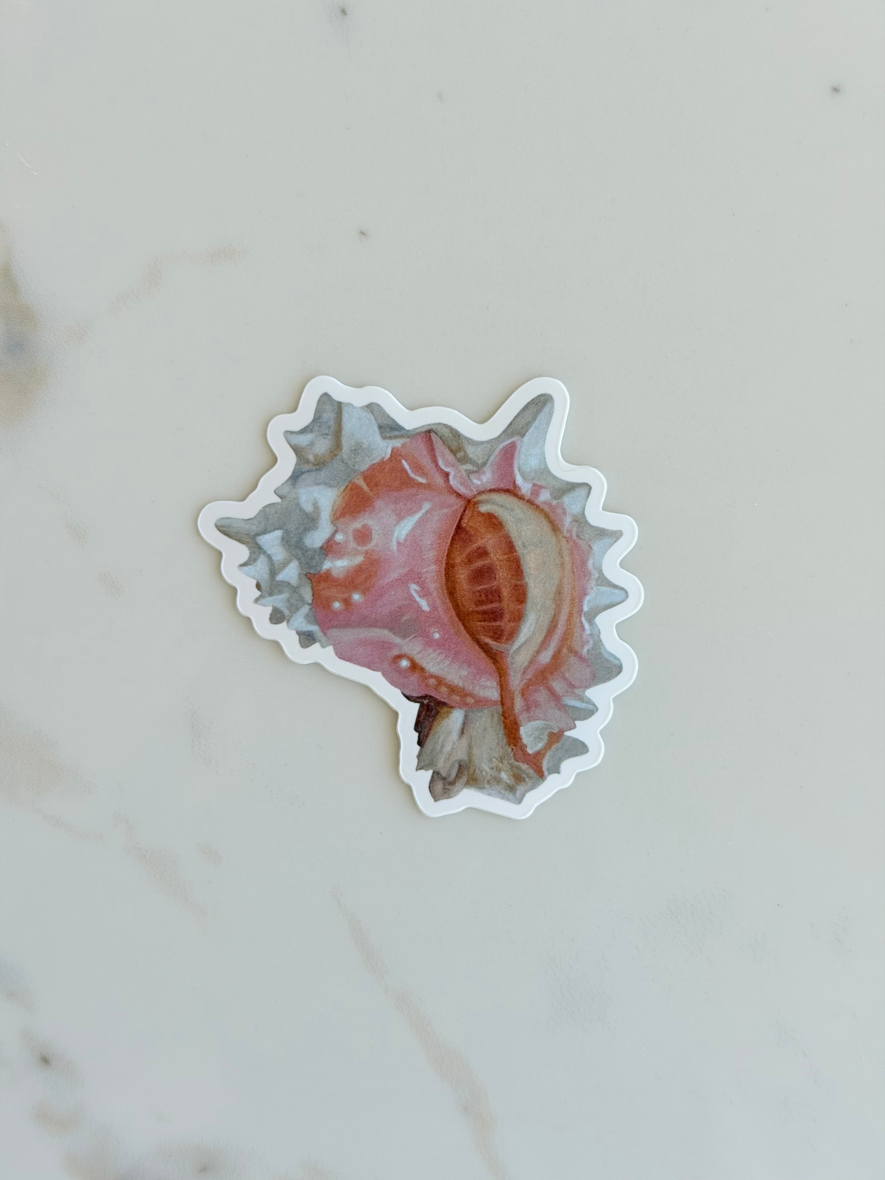 Seashell Vinyl Sticker