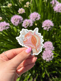 Seashell Vinyl Sticker