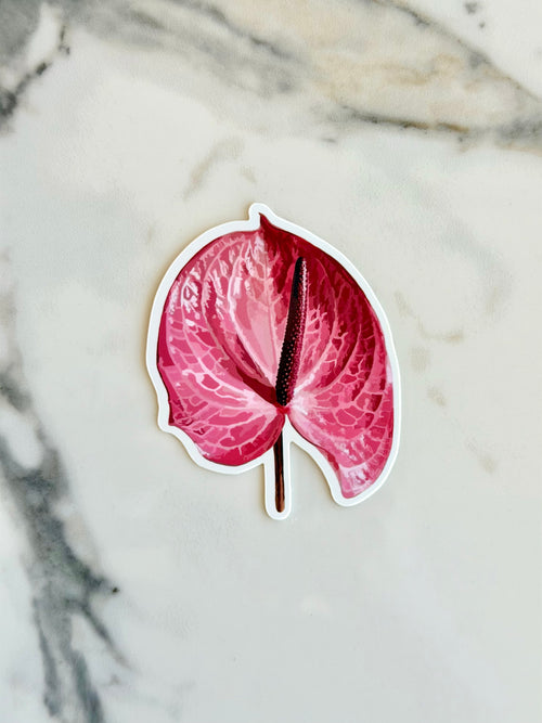 Pink Anthurium Vinyl Sticker