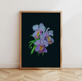 Midnight Orchid