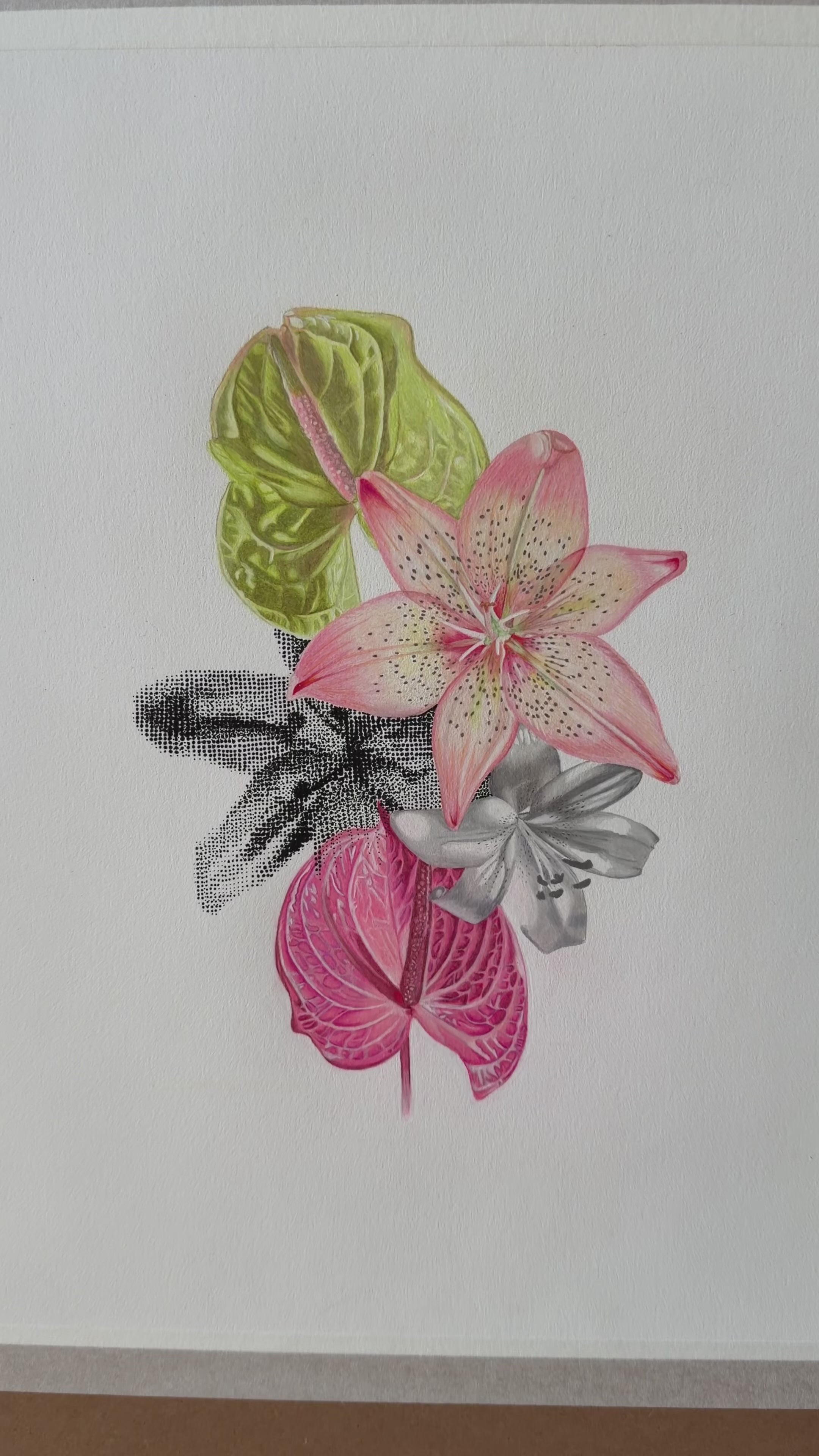 Unified, in Variation